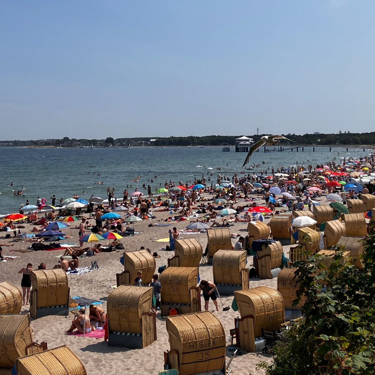 Bei schönstem Sommerwetter genießen zahlreiche Urlauber die Strände der Ostsee. - Foto: Thomas Müller/dpa
