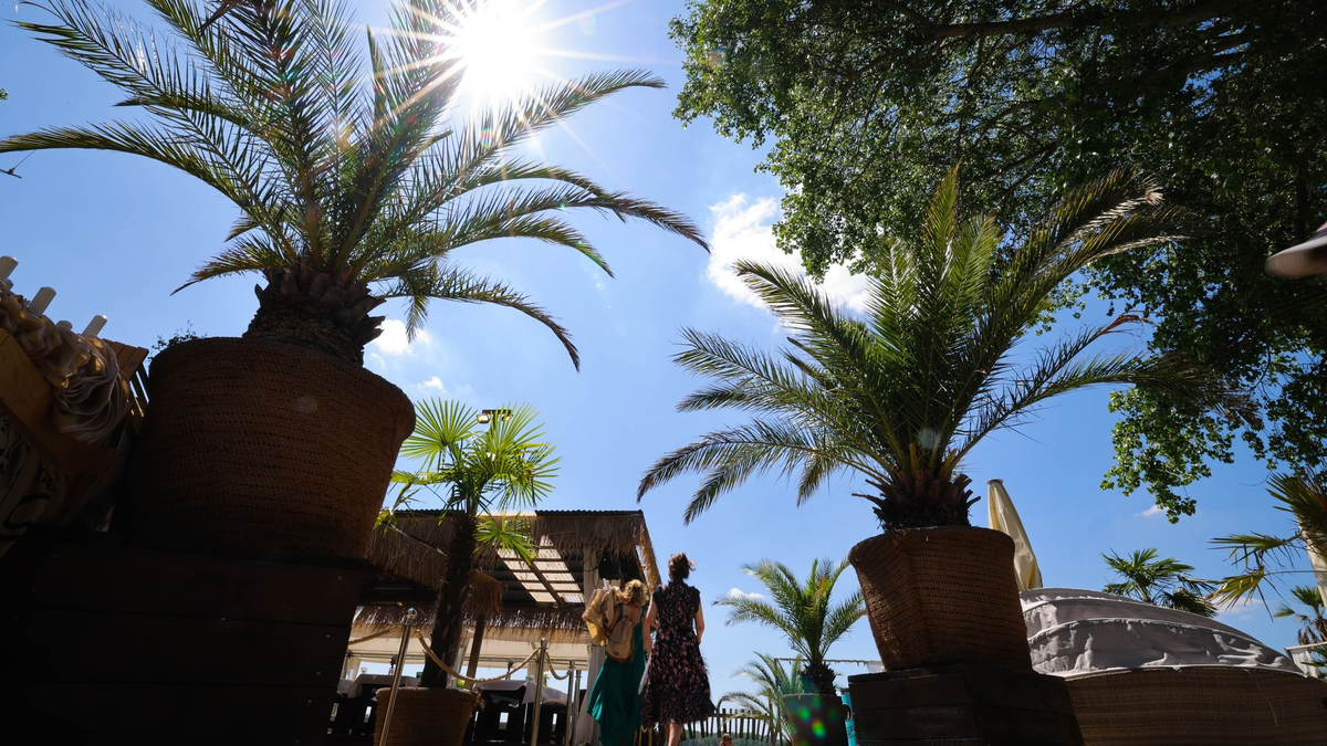 Zwei Freundinnen aus Hamburg gehen mit ihren Sonnenschirmen zum Elbstrand vor dem Strandbad Wedel. - Foto: Christian Charisius/dpa