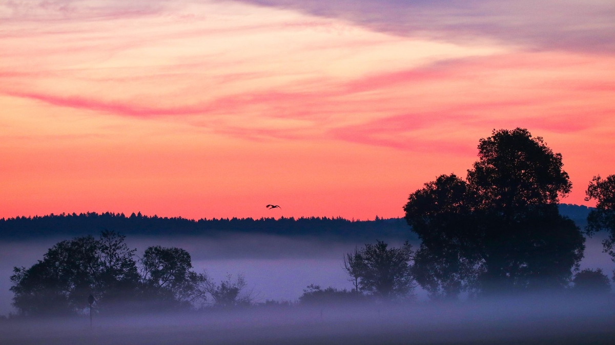 Morgenröte im baden-württembergischen Riedlingen. - Foto: Thomas Warnack/dpa