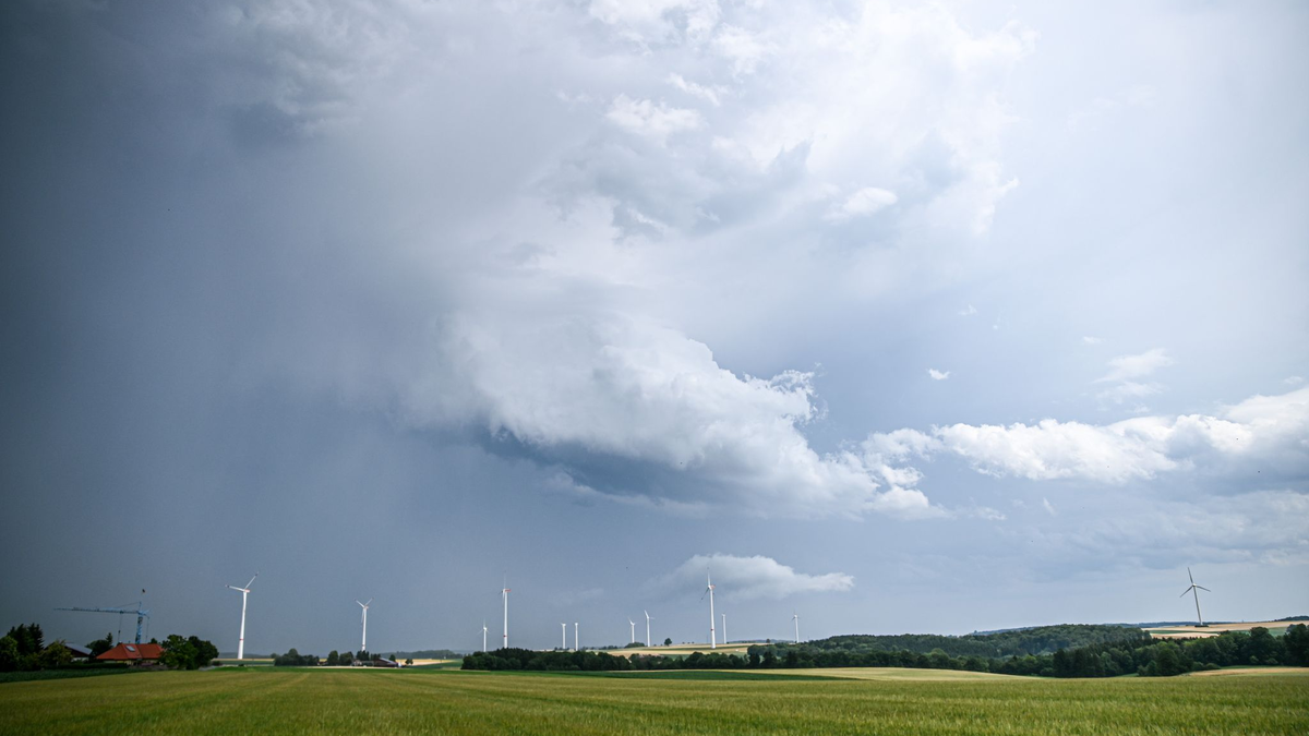Eine Regenfront mit dunklen Wolken ist hinter einem Gerstenfeld zu sehen. - Foto: Marius Bulling/dpa