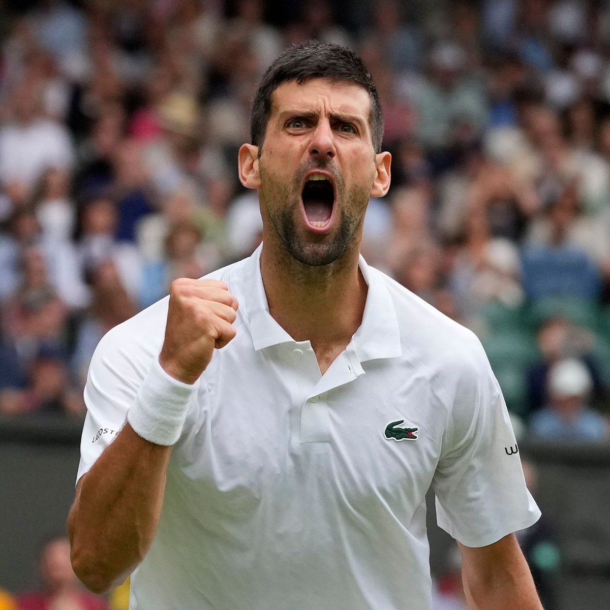 Novak Djokovic steht im Halbfinale von Wimbledon. - Foto: Kirsty Wigglesworth/AP/dpa