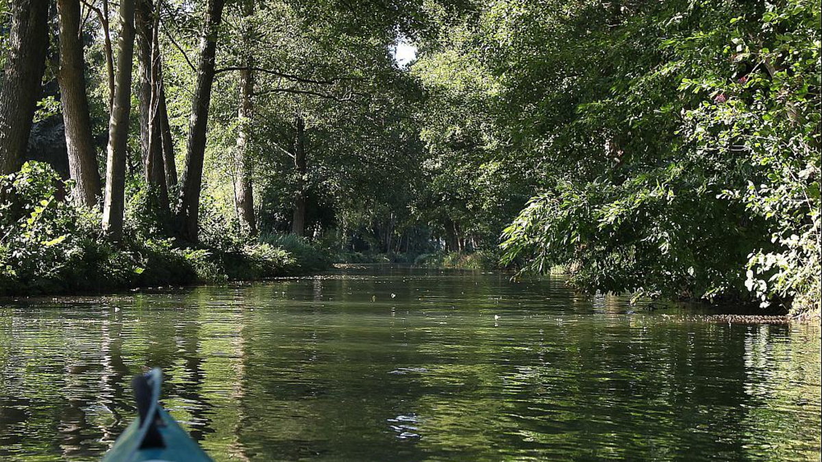 Spreewald - Foto: ?ber dts Nachrichtenagentur
