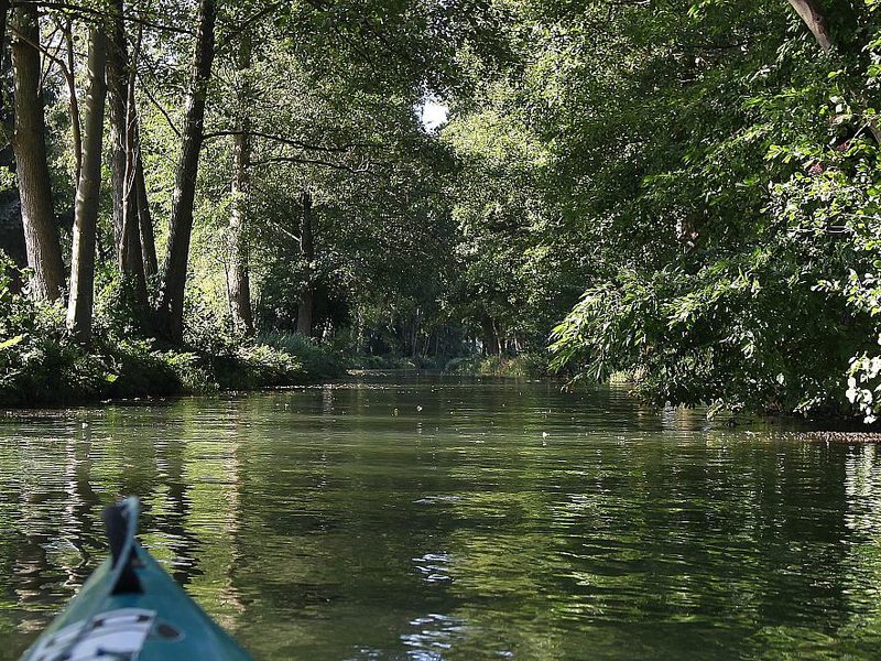 Spreewald - Foto: ?ber dts Nachrichtenagentur