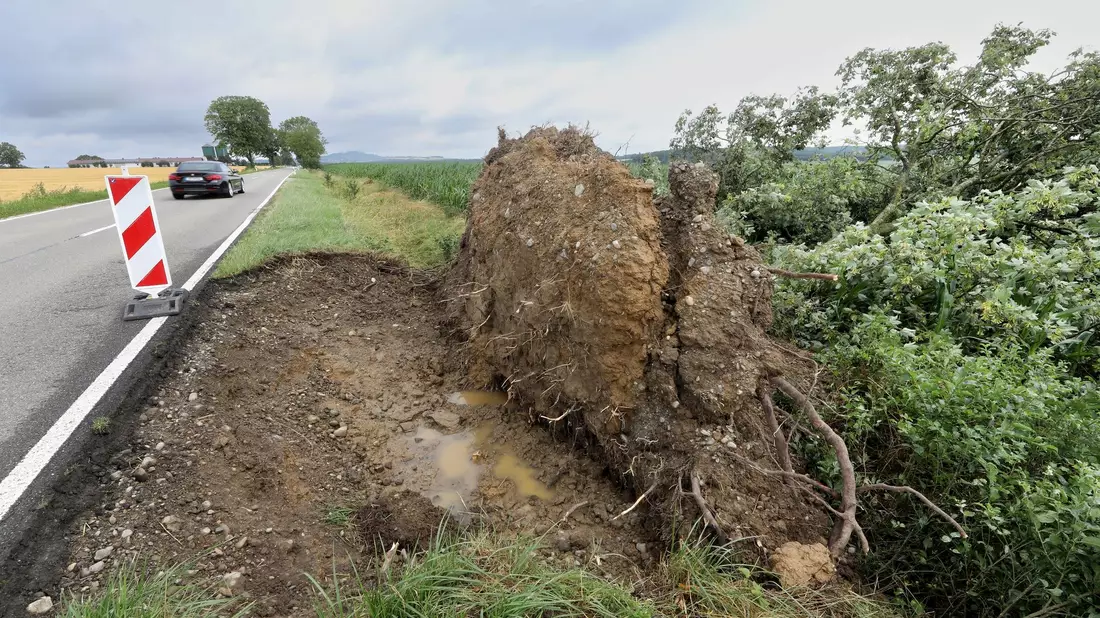 Ein entwurzelter Baum an der L270 bei Betzenweiler in Baden-Württemberg. - Bild: Thomas Warnack/dpa
