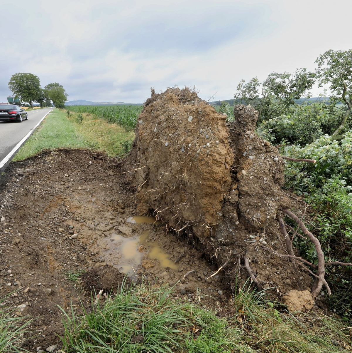 Ein entwurzelter Baum an der L270 bei Betzenweiler in Baden-Württemberg. - Foto: Thomas Warnack/dpa