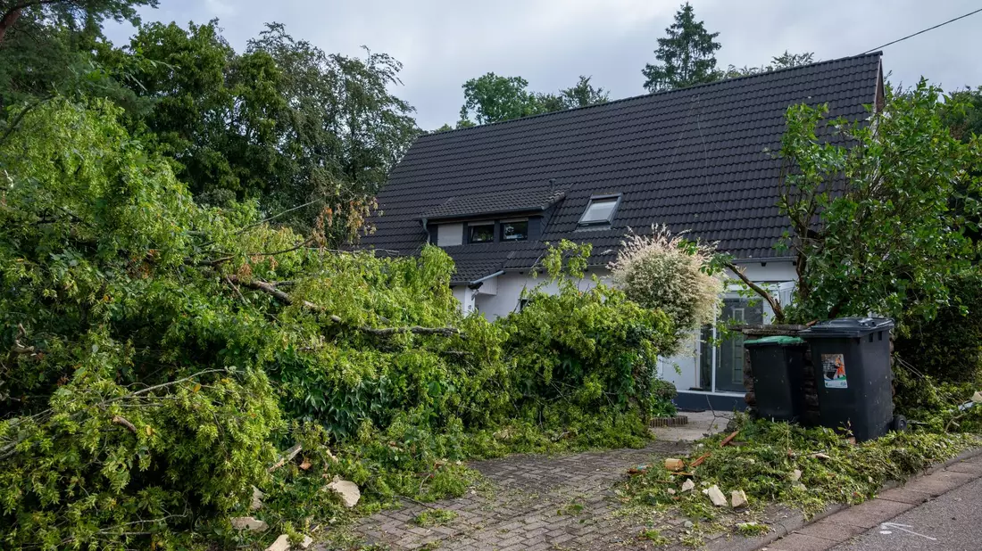 Große Äste liegen am Tag nach dem Sturm in Asweiler im Saarland am Boden. - Bild: Harald Tittel/dpa