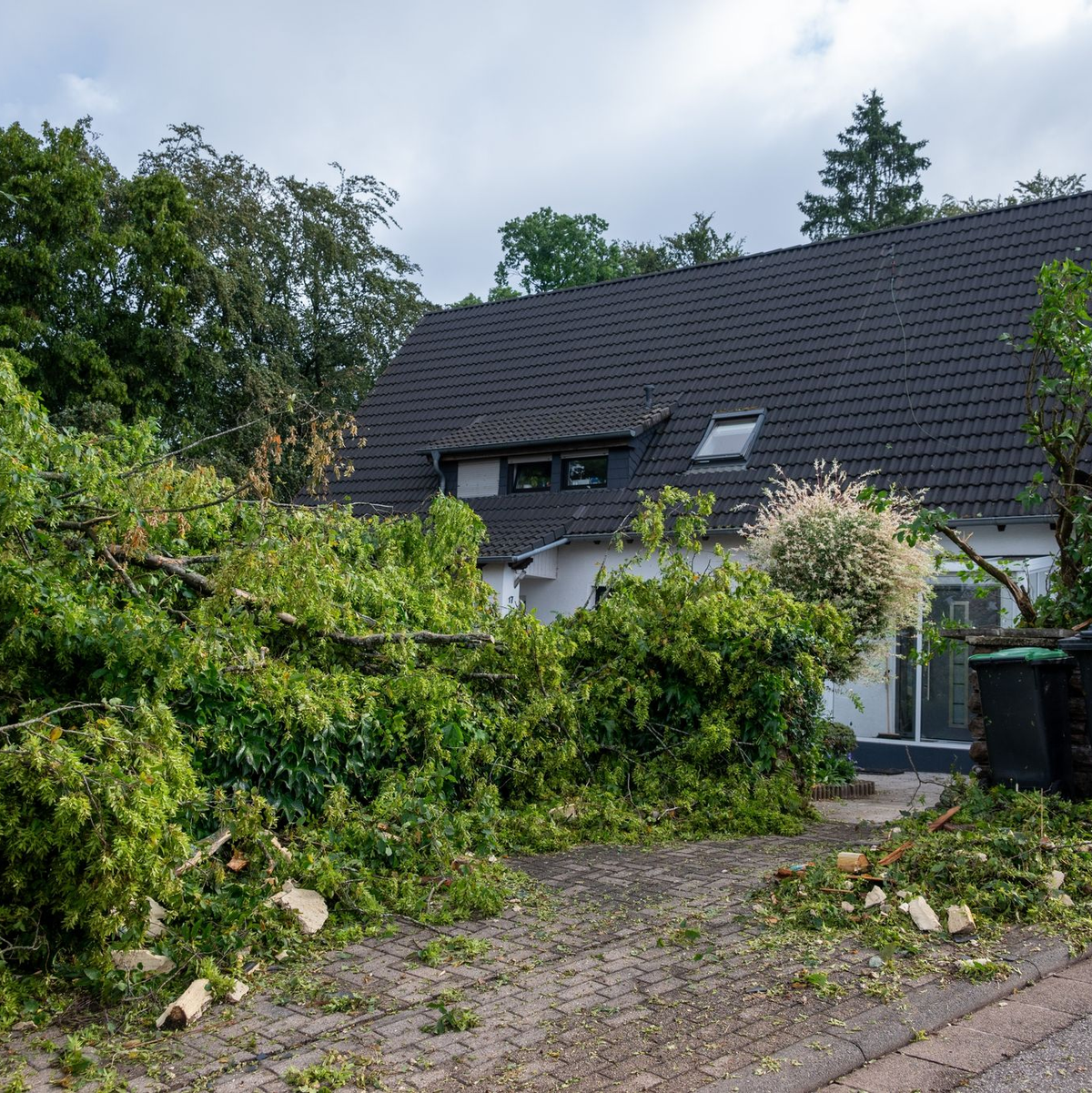 Große Äste liegen am Tag nach dem Sturm in Asweiler im Saarland am Boden. - Foto: Harald Tittel/dpa