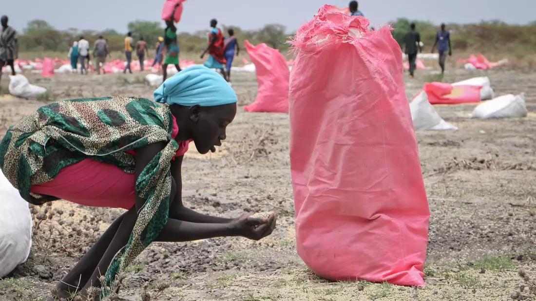 Eine Frau sammelt im südsudanesischen Kandak Hirse vom Boden auf, die in Säcken vom Welternährungsprogramm der Vereinten Nationen über der Stadt abgeworfen wurden. - Bild: Sam Mednick/AP/dpa