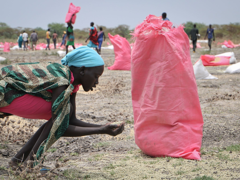 Der tägliche Kampf gegen den Hunger: Eine Frau im Südsüdan sammelt Hirse vom Boden auf, die in Säcken über der Stadt abgeworfen wurden. - Foto: Sam Mednick/AP/dpa