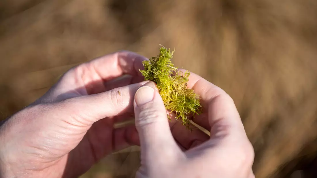 Bauernverbände haben die Sorge, dass Landwirte durch Vorgaben zu sehr eingeschränkt werden könnten. - Bild: Sina Schuldt/dpa