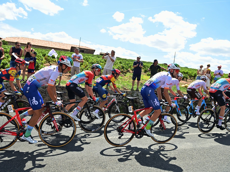 Das Fahrerfeld während der zwölften Etappe. - Foto: Pete Goding/Belga/dpa