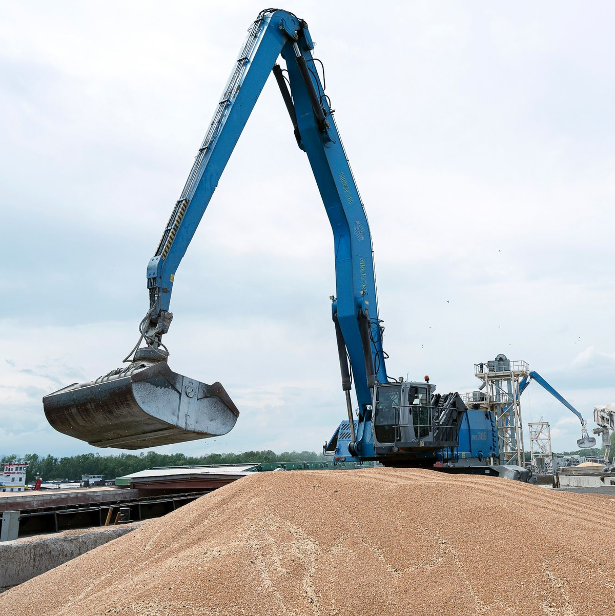 Ein Bagger verlädt in einem Getreidehafen Getreide in ein Frachtschiff. - Foto: Andrew Kravchenko/AP/dpa