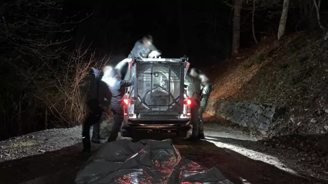 Mitarbeiter des Trentiner Forstkorps bereiten den Transport der Bärin JJ4 in ein Wildreservat vor (Archivbild). - Bild: -/Provinzregierung  Trentino/dpa