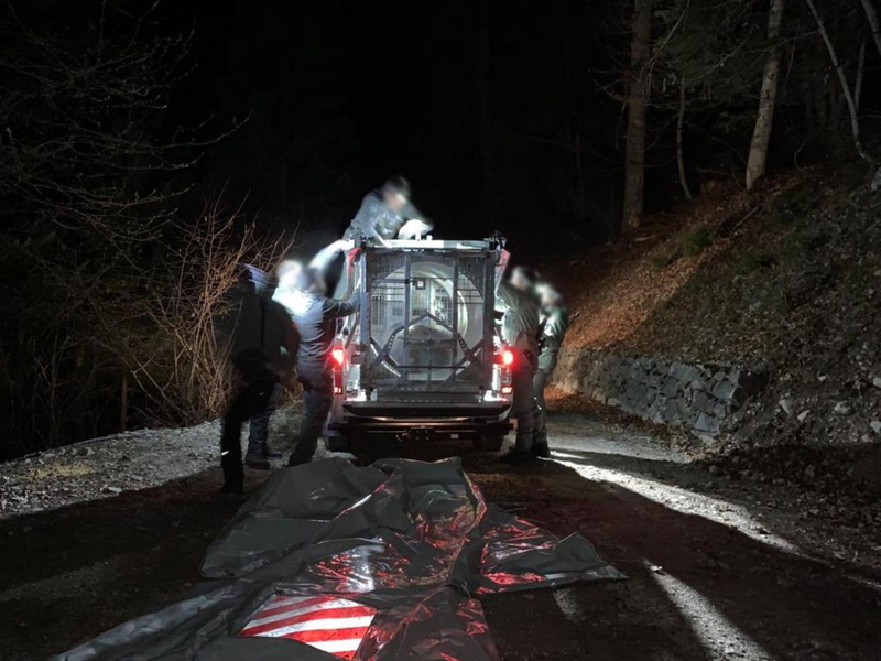 Mitarbeiter des Trentiner Forstkorps bereiten den Transport der Bärin JJ4 in ein Wildreservat vor (Archivbild). - Foto: -/Provinzregierung  Trentino/dpa
