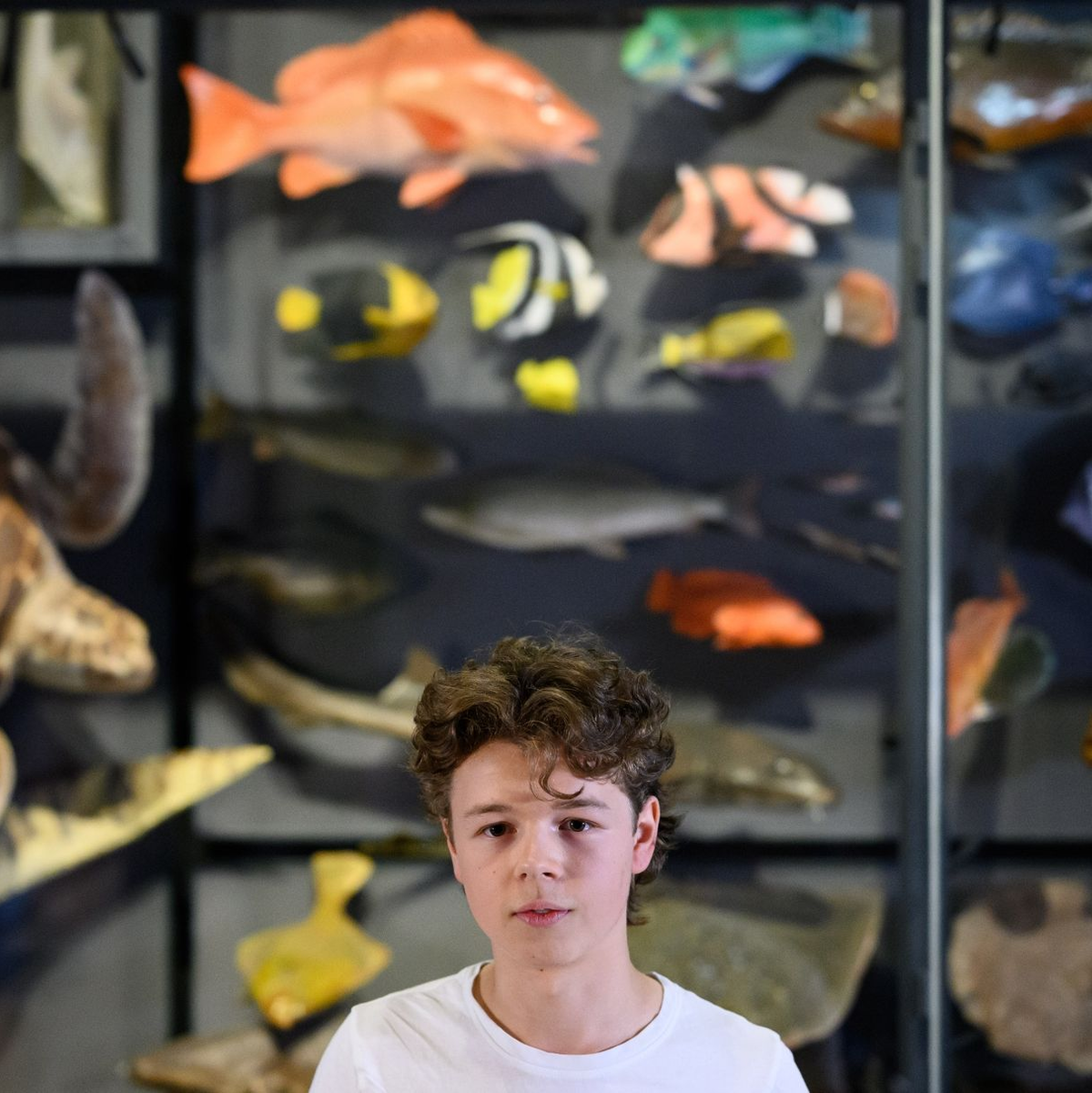 Fridays-for-Future-Sprecher Pit Terjung äußert sich bei einer Pressekonferenz zu einem möglichen Sofortprogramm für den Verkehrssektor. - Foto: Bernd von Jutrczenka/dpa