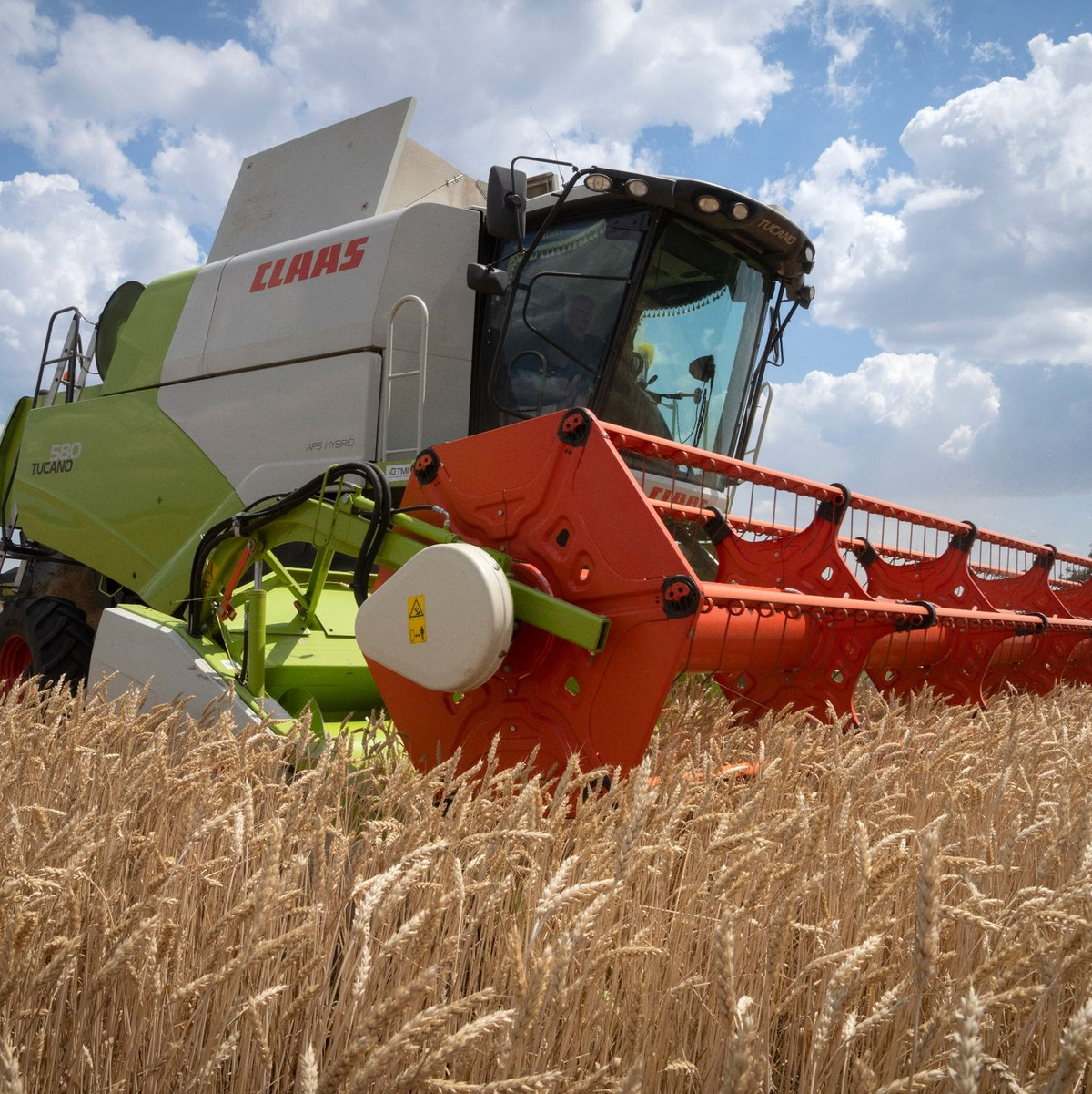 Zehn Kilometer von der Frontlinie entfernt drischt ein ukrainischer Bauer in der Region Dnipropetrowsk den Weizen auf seinem Feld. - Foto: Efrem Lukatsky/AP/dpa