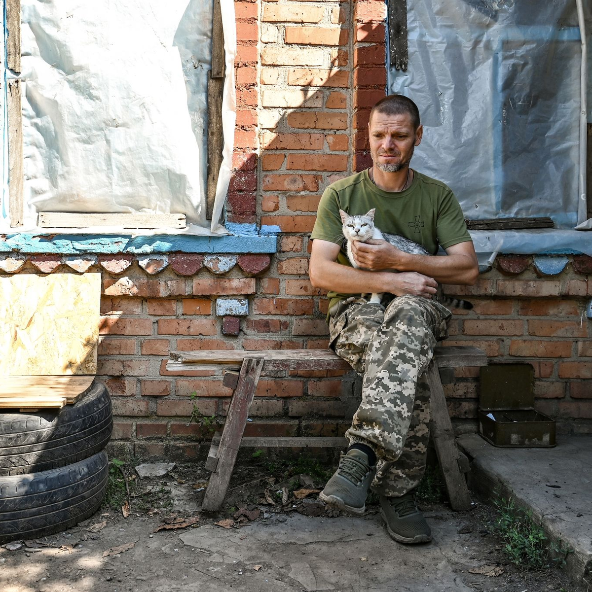 Ein Soldat der Territorialen Verteidigung der Ukraine aus Dnipro legt eine Pause ein - eine Katze leistet ihm Gesellschaft. - Foto: ---/Ukrinform/dpa