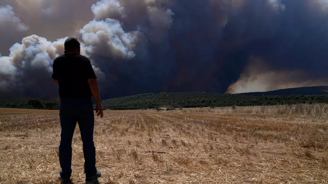 Feuerwehrfahrzeuge stehen auf einem Feld vor einem Waldbrand bei Athen. - Bild: Thanassis Stavrakis/AP/dpa