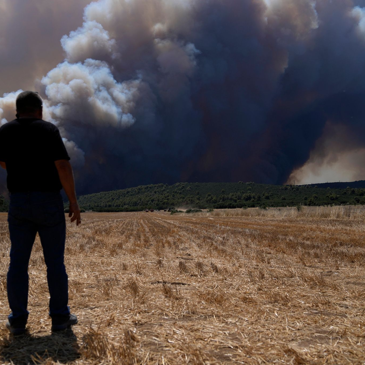 Feuerwehrfahrzeuge stehen auf einem Feld vor einem Waldbrand bei Athen. - Foto: Thanassis Stavrakis/AP/dpa
