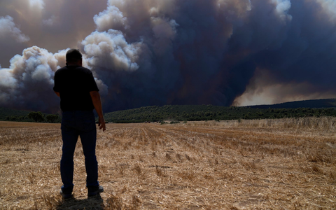 Feuerwehrfahrzeuge stehen auf einem Feld vor einem Waldbrand bei Athen. - Foto: Thanassis Stavrakis/AP/dpa