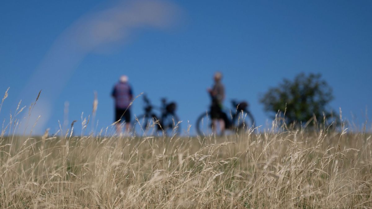 Zwei Radfahrer stehen am Rand der Schwäbischen Alb vor einer trockenen Wiese. - Foto: Marijan Murat/dpa