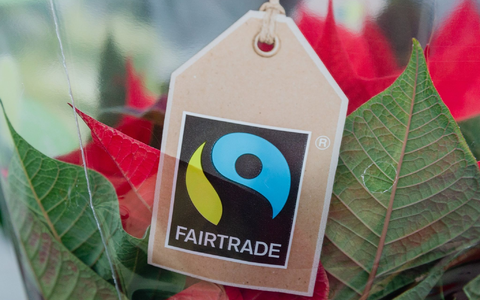 Die Umsätze im Handel mit fair gehandelten Produkten sind im vergangenen Jahr weiter gestiegen. - Foto: Markus Scholz/dpa