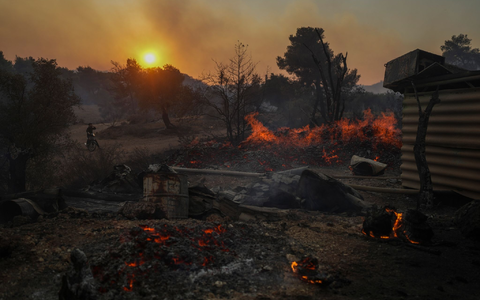 In Mandra, westlich von Athen, brennt es. - Foto: Petros Giannakouris/AP