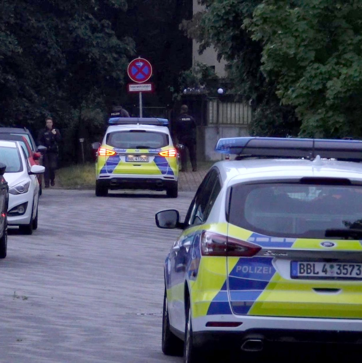 Ein gefährliches Wildtier ist in der Nacht zum Donnerstag in Brandenburg entlaufen und wird nun gesucht. - Foto: Sven Käuler/dpa