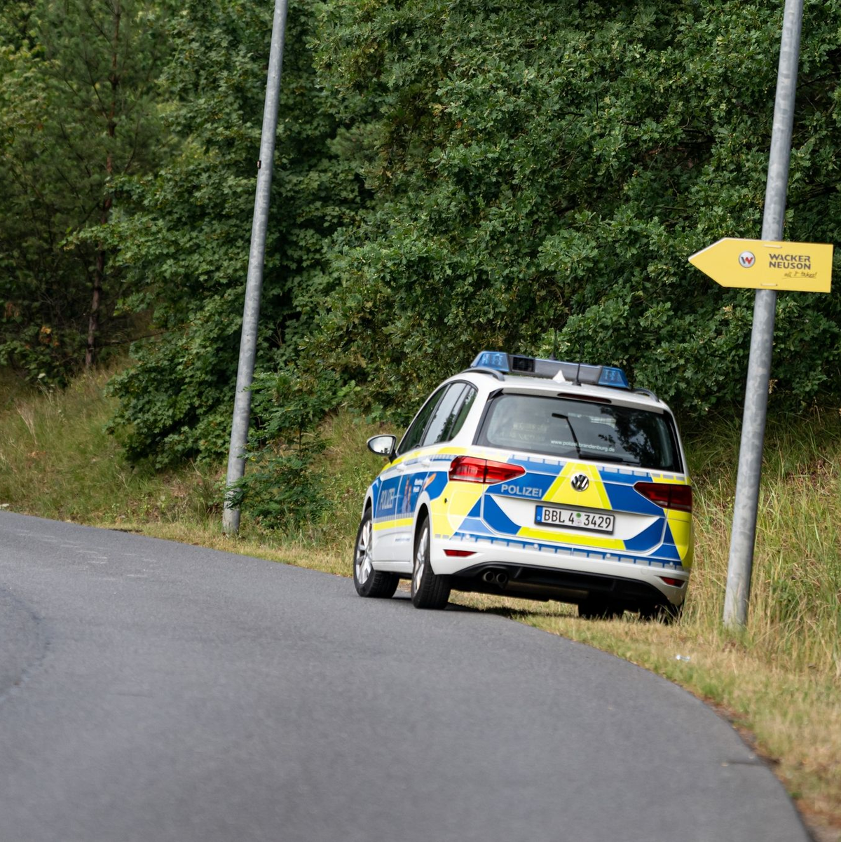 Im Süden von Berlin wurde ein Raubtier gesichtet - höchstwahrscheinlich eine Löwin. Die Polizei sucht. - Foto: Fabian Sommer/dpa