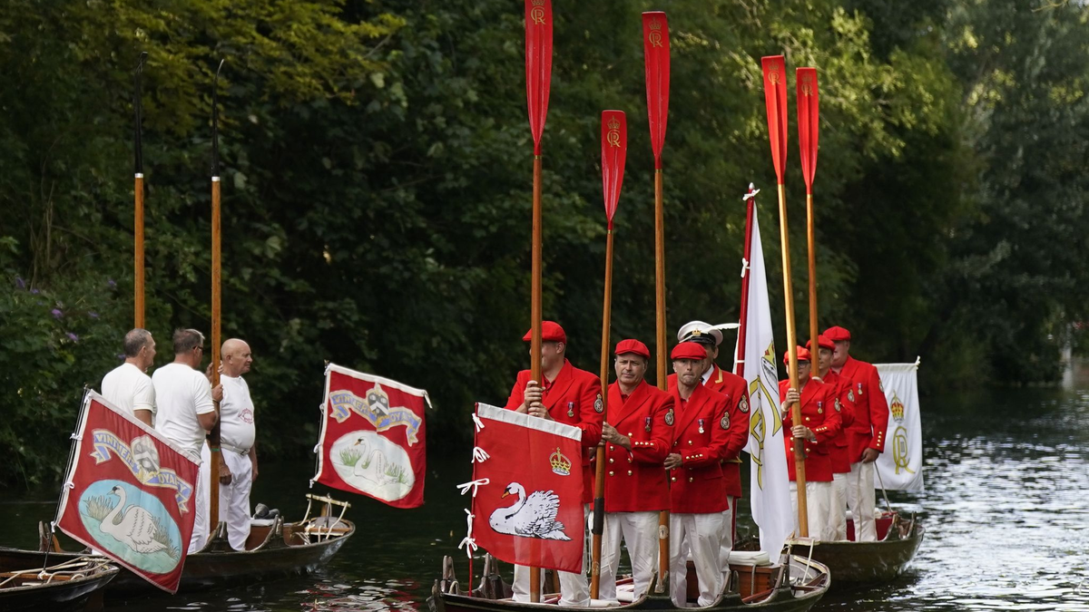 «Swan Upping» auf der Themse. - Foto: Aaron Chown/PA Wire/dpa