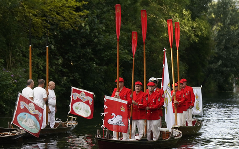 «Swan Upping» auf der Themse. - Foto: Aaron Chown/PA Wire/dpa
