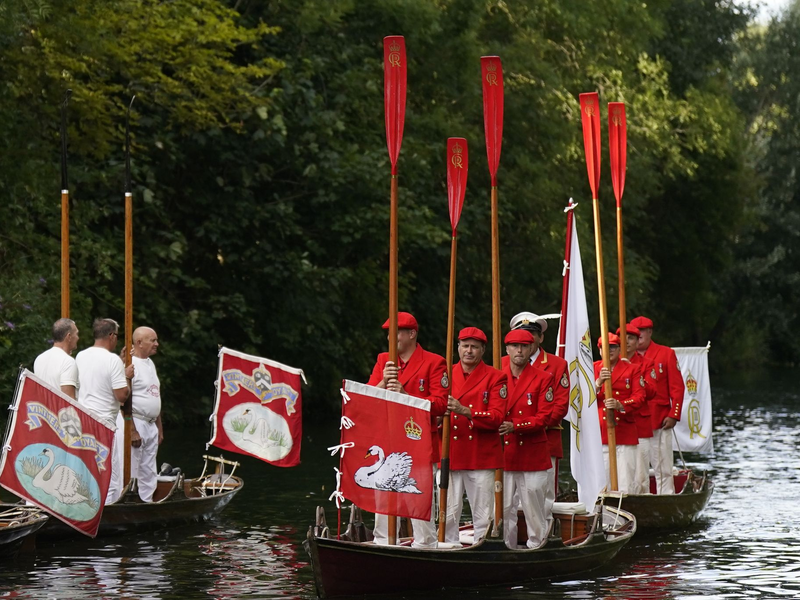 «Swan Upping» auf der Themse. - Foto: Aaron Chown/PA Wire/dpa