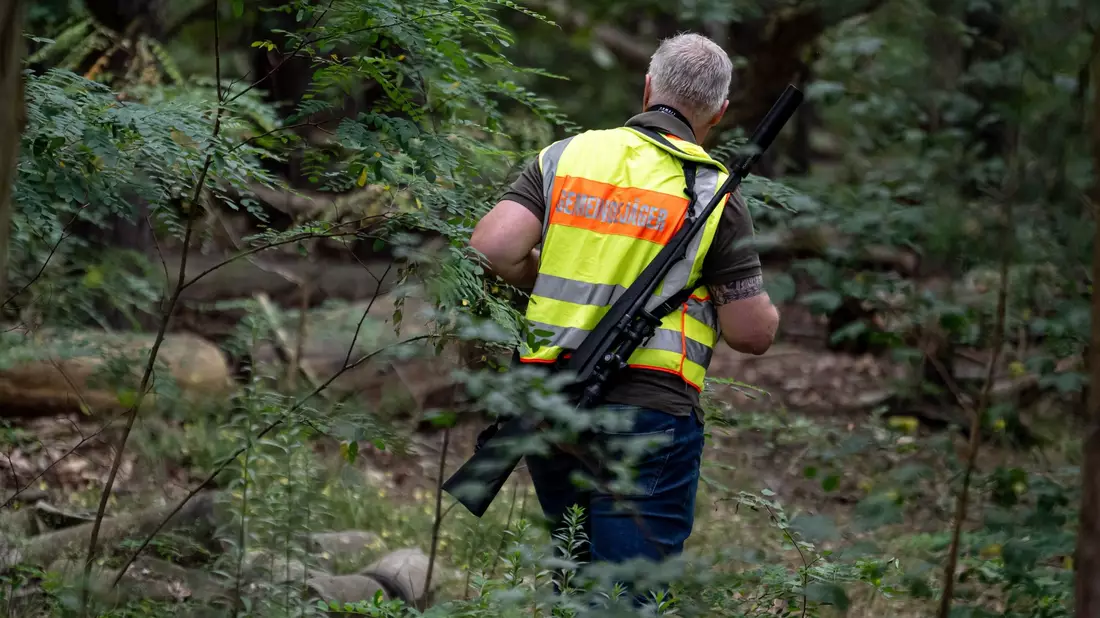 Mit scharfem Geschütz im Wald: Ein Gemeindejäger im Bereich der südlichen Landesgrenze von Berlin. - Bild: Fabian Sommer/dpa