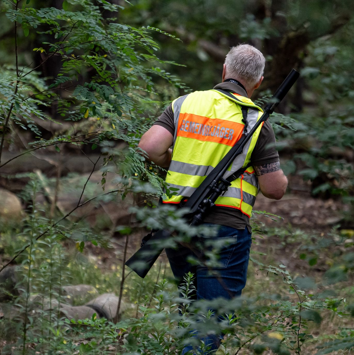 Mit scharfem Geschütz im Wald: Ein Gemeindejäger im Bereich der südlichen Landesgrenze von Berlin. - Foto: Fabian Sommer/dpa