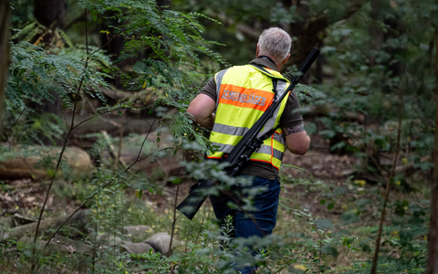Mit scharfem Geschütz im Wald: Ein Gemeindejäger im Bereich der südlichen Landesgrenze von Berlin. - Foto: Fabian Sommer/dpa