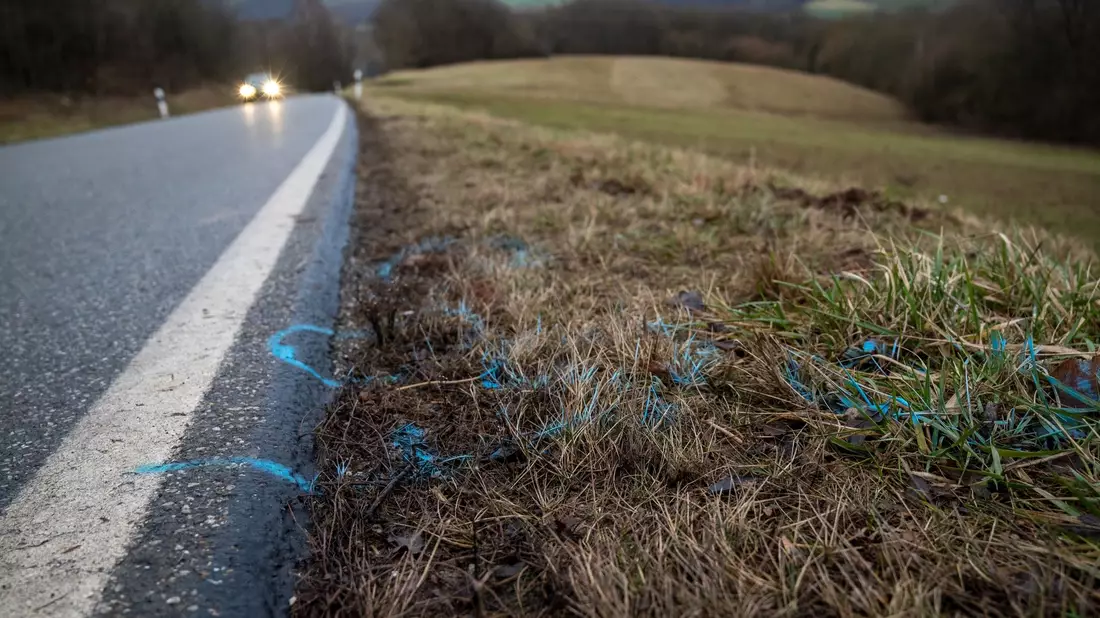 Markierungen wurden am Rand der Kreisstraße 22 zwischen den Orten Mayweilerhof und Ulmet (Rheinland-Pfalz) aufgetragen. Dort wurden Anfang 2022 eine Polizistin und ein Polizist bei einer Verkehrskontrolle erschossen. - Bild: Harald Tittel/dpa