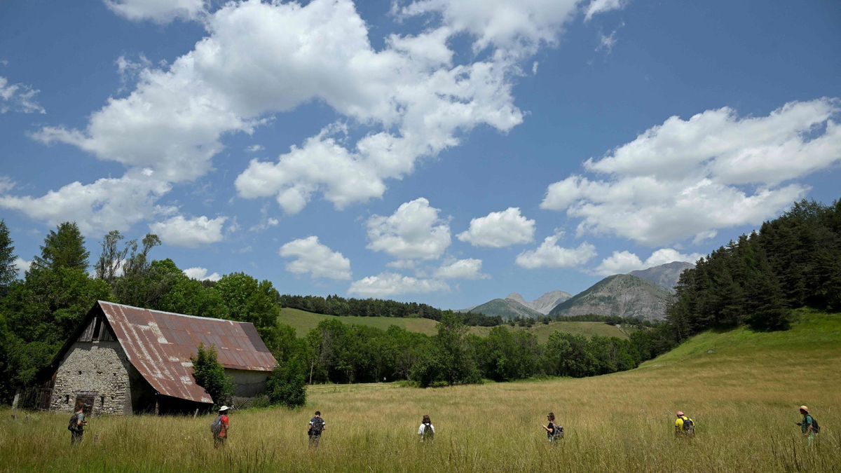 Freiwillige nehmen in dem südfranzösischen Alpendorf Le Vernet an einer Suchaktion nach einem zweieinhalbjährigen Émile teil. - Foto: Nicolas Tucat/AFP/dpa