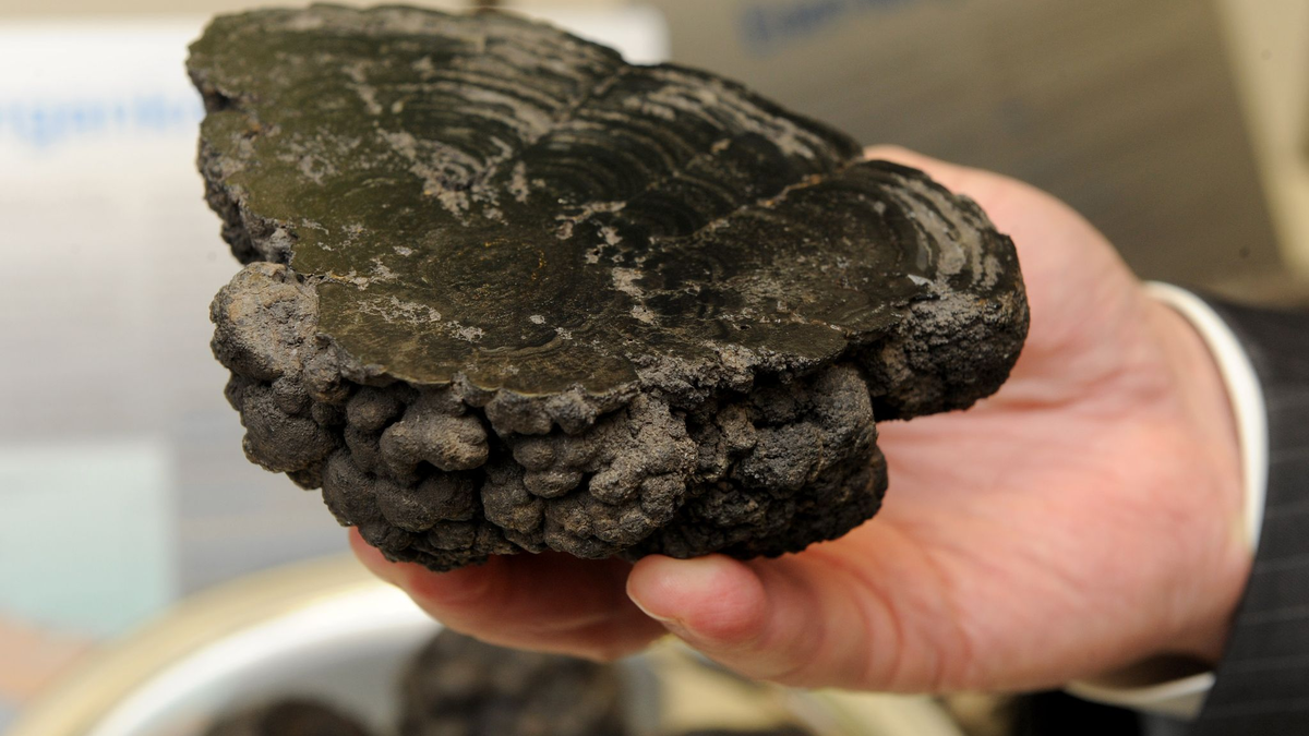 Manganknollen entstehen in in 4000 bis 6000 Metern Tiefe. - Foto: picture alliance / dpa