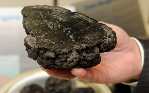 Manganknollen entstehen in in 4000 bis 6000 Metern Tiefe. - Foto: picture alliance / dpa