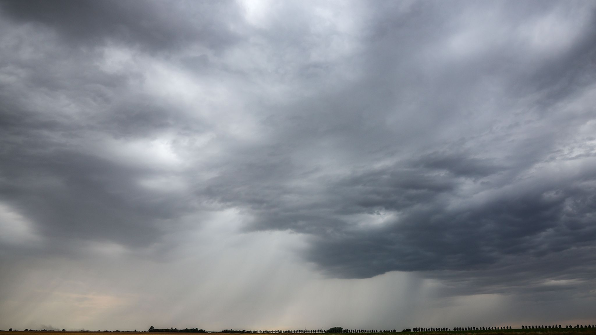 Eine Regenfront zieht über ein Getreidefeld hinweg. - Foto: Jan Woitas/dpa