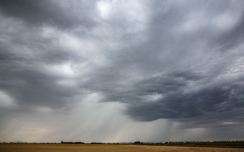 Eine Regenfront zieht über ein Getreidefeld hinweg. - Foto: Jan Woitas/dpa