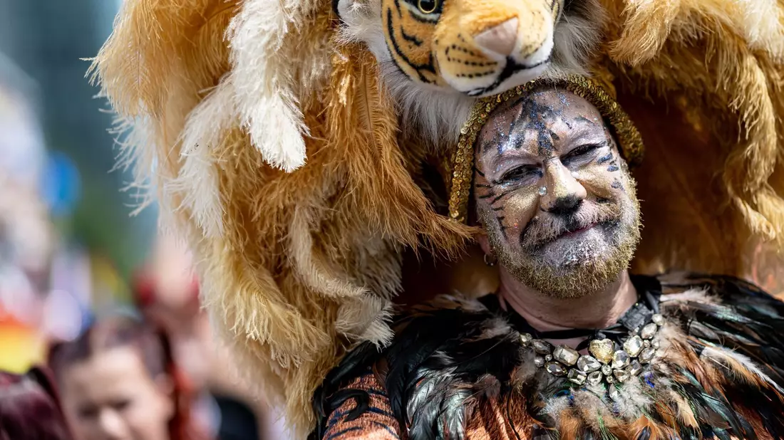 Mann als Tiger: Viele Teilnehmer haben sich die Mühe gemacht, sich besonders ausgefallene und farbenfrohe Kostüme für die Parade zurechtzumachen. - Bild: Fabian Sommer/dpa
