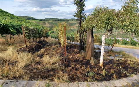 POL-PDMY: Brand im Weinberg oberhalb von Dernau - Foto: presseportal.de