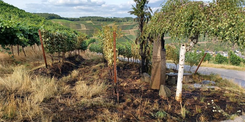 POL-PDMY: Brand im Weinberg oberhalb von Dernau - Foto: presseportal.de