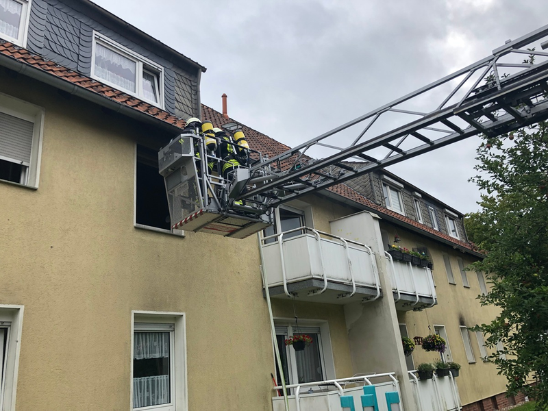 FW LK Leipzig: Bienenschwarm vor Wohnhaus - Foto: presseportal.de