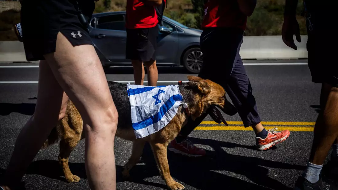 Ein Gegendemonstrant hat auf den Marsch nach Jerusalem seinen Hund mitgebracht. - Bild: Ilia Yefimovich/dpa