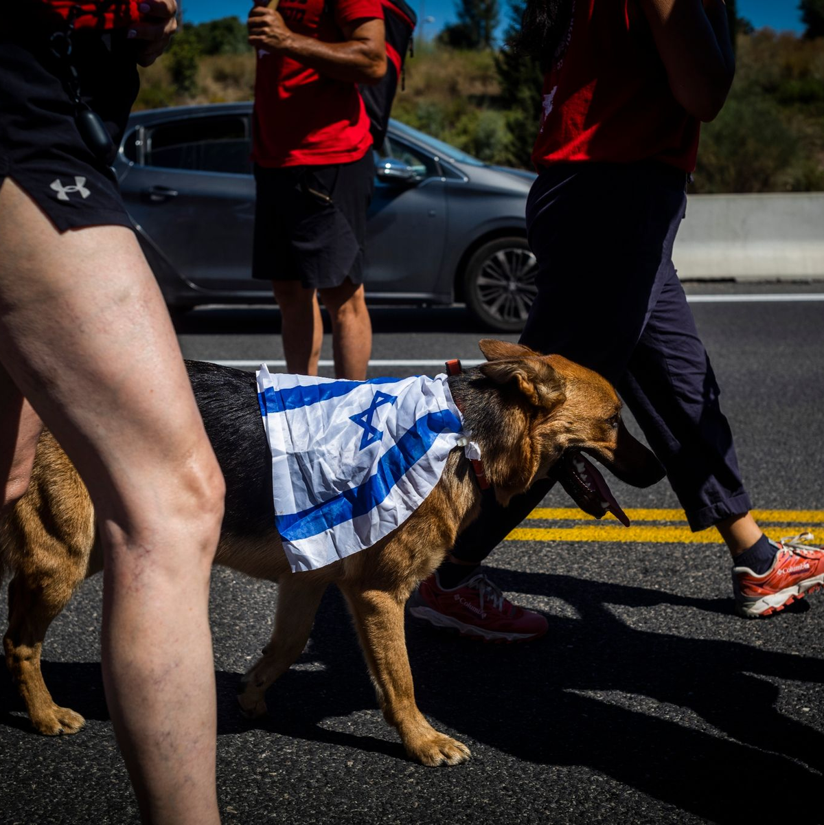 Ein Gegendemonstrant hat auf den Marsch nach Jerusalem seinen Hund mitgebracht. - Foto: Ilia Yefimovich/dpa