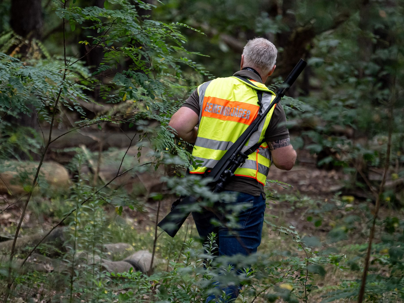 Ein Gemeindejäger durchsucht im Bereich der südlichen Landesgrenze von Berlin den Wald. - Foto: Fabian Sommer/dpa