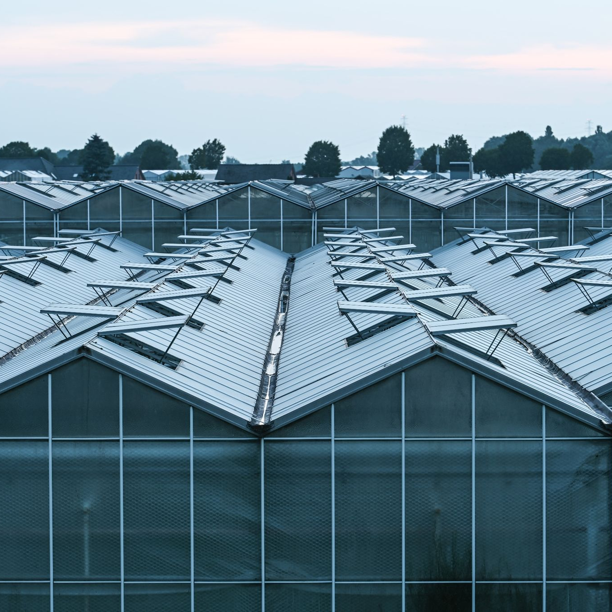 Das Statistisches Bundesamt hat Importzahlen aus dem vergangen Jahr von Obst und Gemüse in Relation zur heimischen Ernte bekannt gegeben. - Foto: Lars Penning/dpa