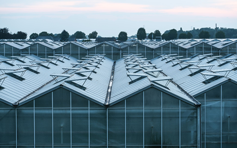 Das Statistisches Bundesamt hat Importzahlen aus dem vergangen Jahr von Obst und Gemüse in Relation zur heimischen Ernte bekannt gegeben. - Foto: Lars Penning/dpa